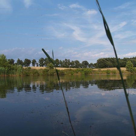 מנצ'יאנו Agriturismo Cavallin Del Bufalo מראה חיצוני תמונה