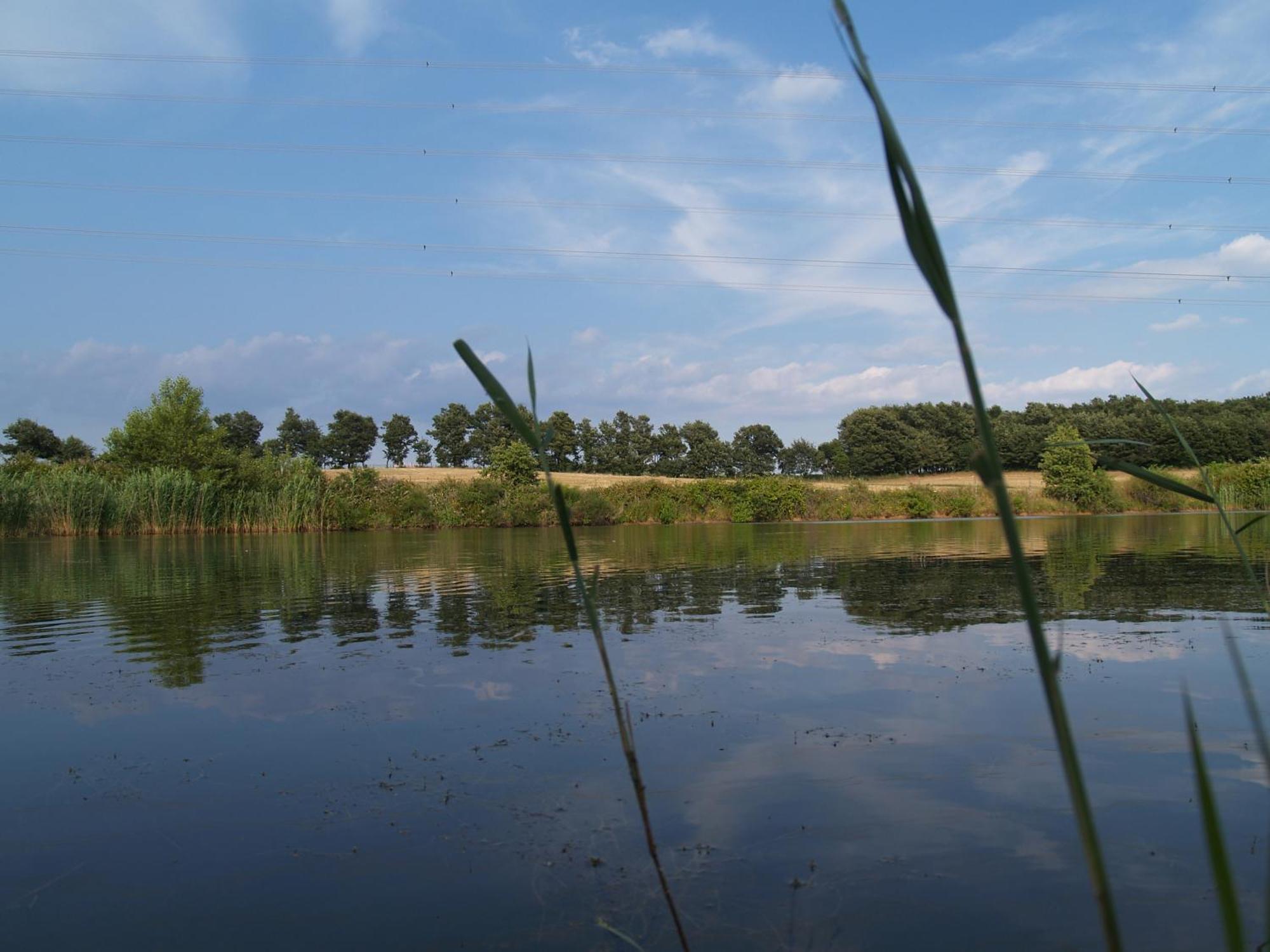מנצ'יאנו Agriturismo Cavallin Del Bufalo מראה חיצוני תמונה