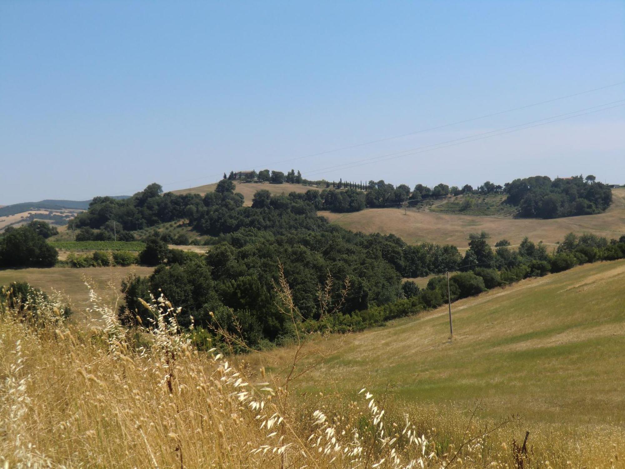 מנצ'יאנו Agriturismo Cavallin Del Bufalo מראה חיצוני תמונה